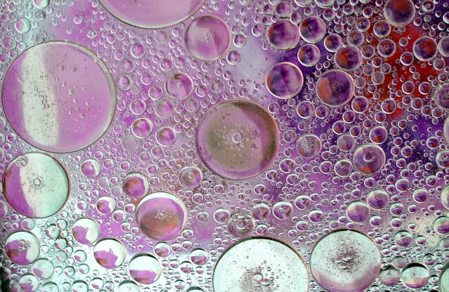 Clarice lispector-medusa