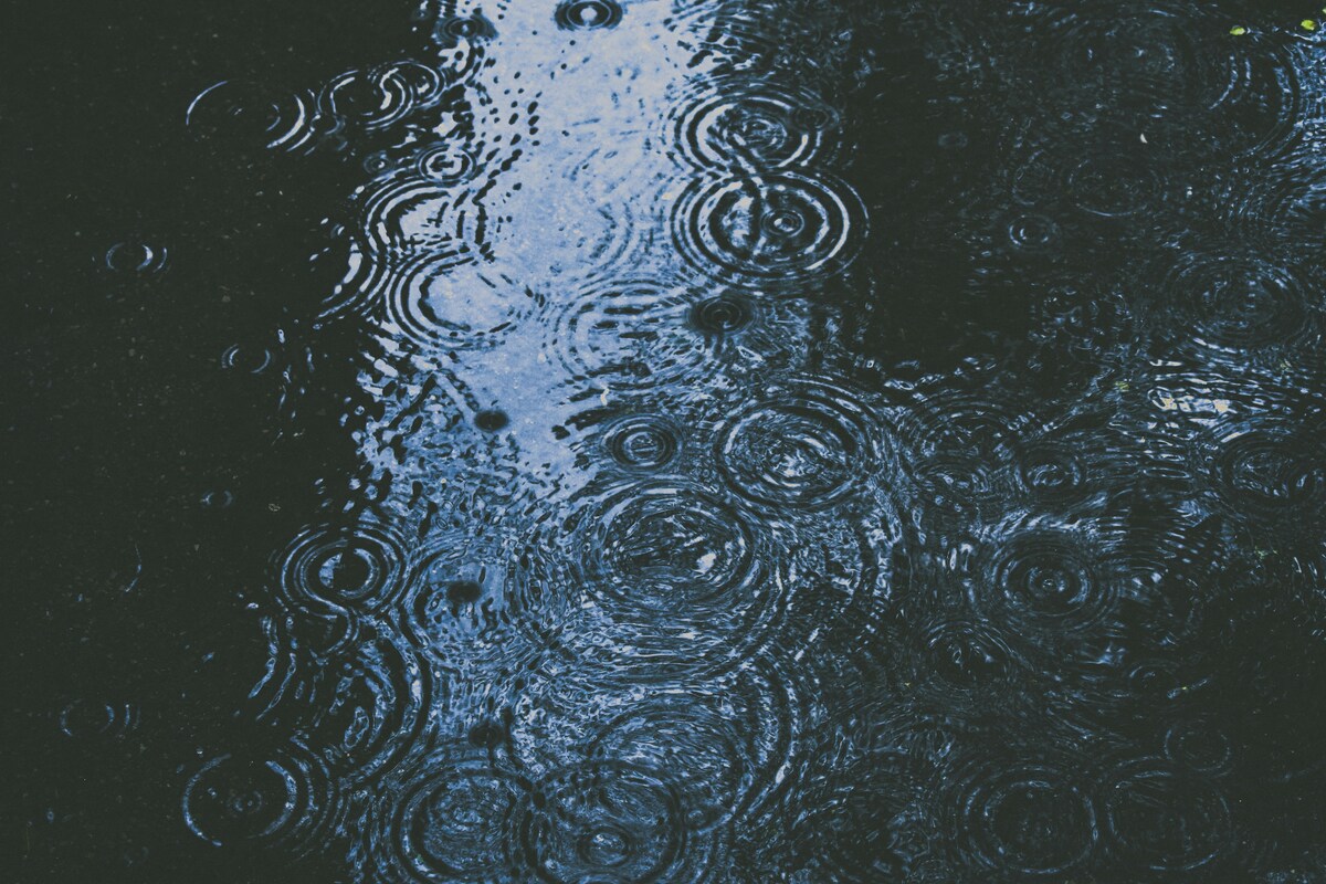 alex-dukhanov-ZxZQk7777R4-unsplash