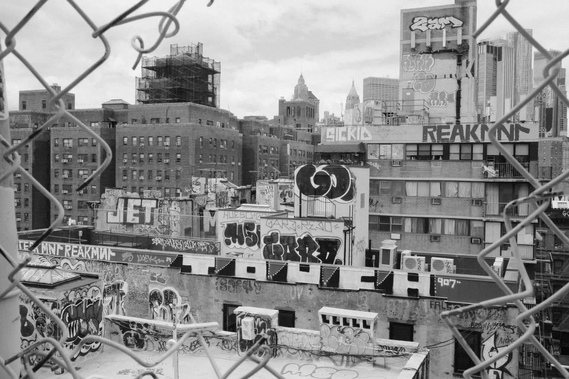 danny-greenberg-cePkHOlZnx8-unsplash