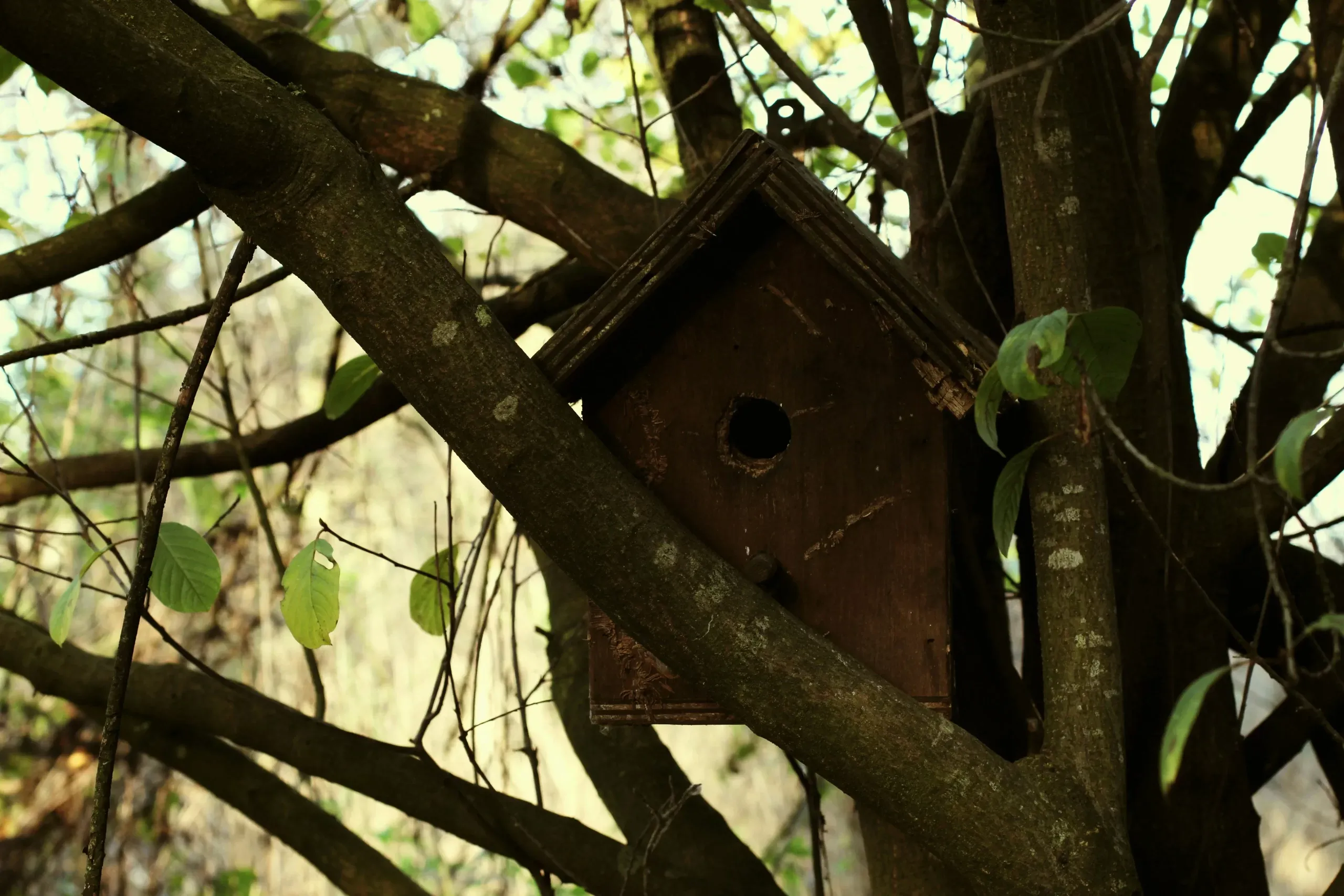 ferdinando-uq3qrwCuFa0-unsplash