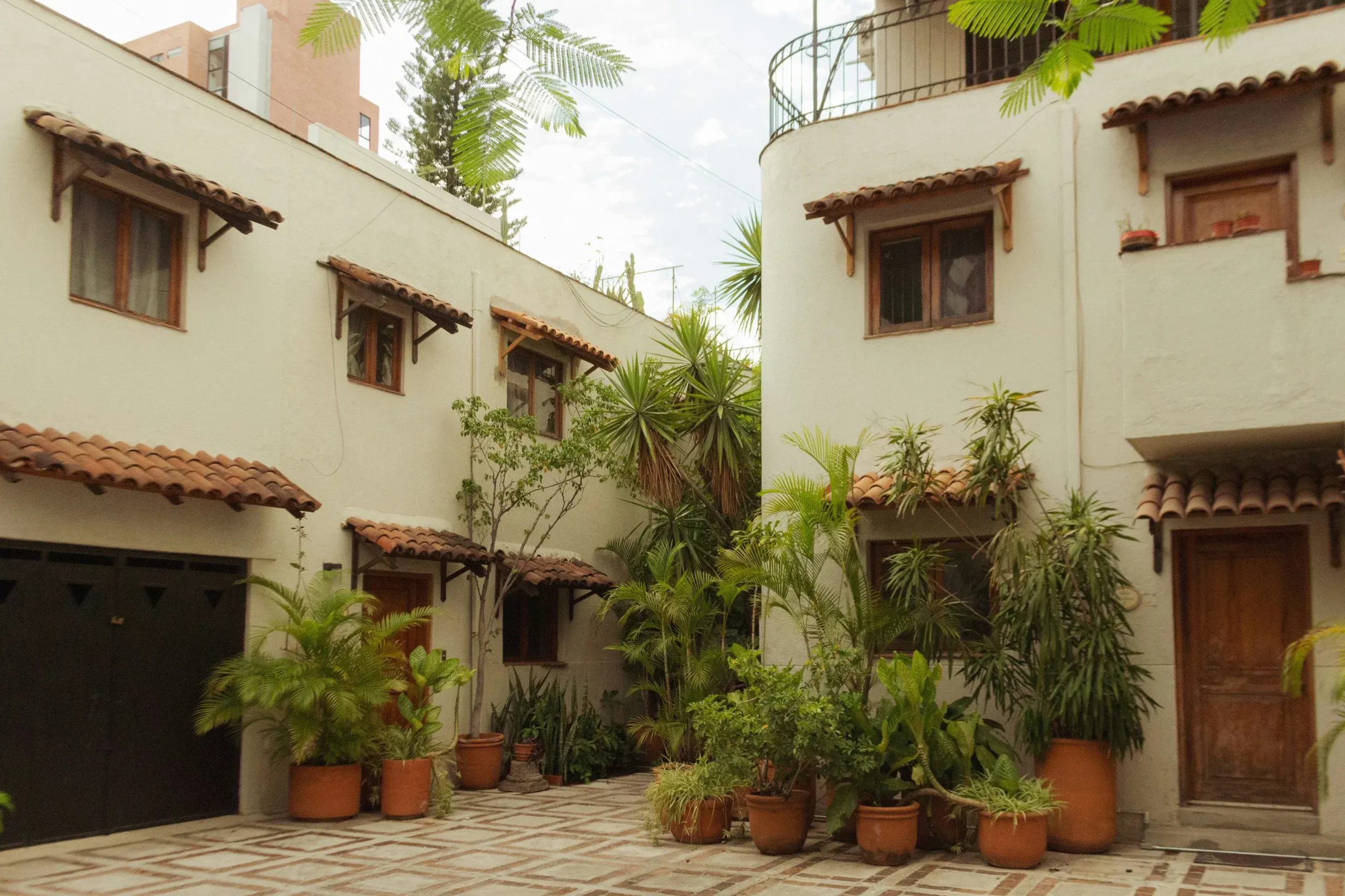 karla-arroniz-aEqAejFrv0k-unsplash