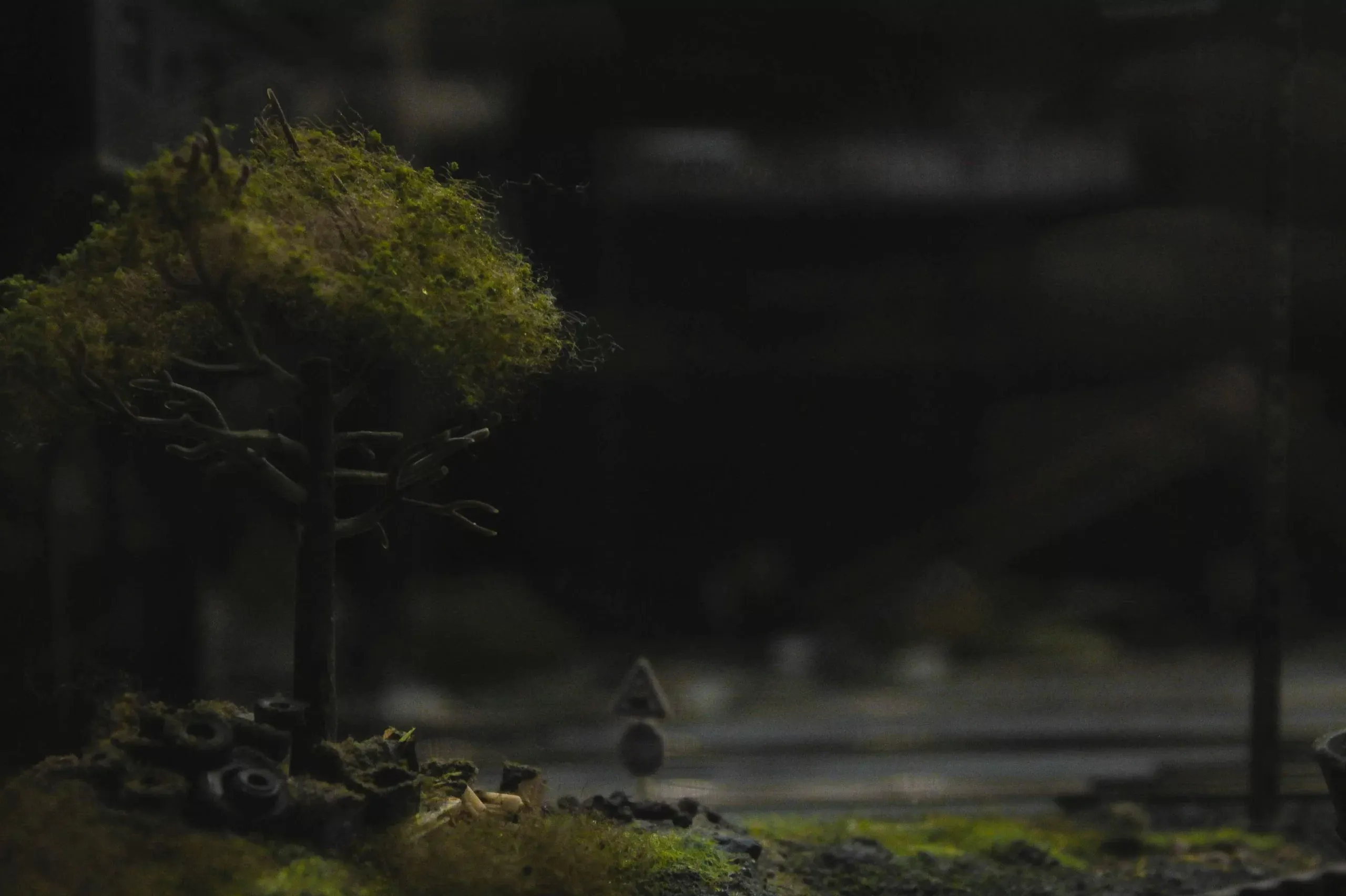 shavr-ik-qibVj1zKwPE-unsplash