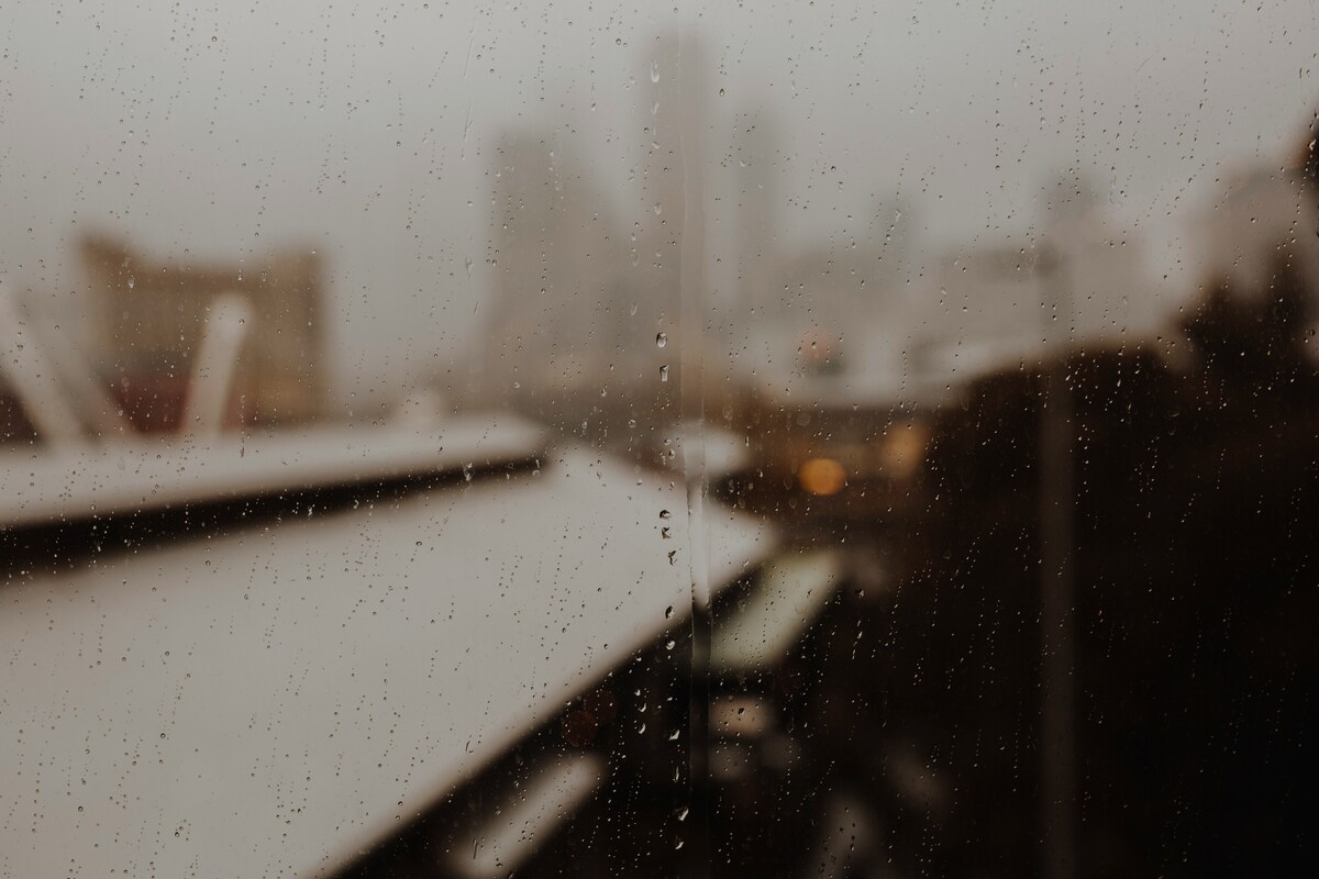 simona-sergi-vuwUkGTPlfQ-unsplash